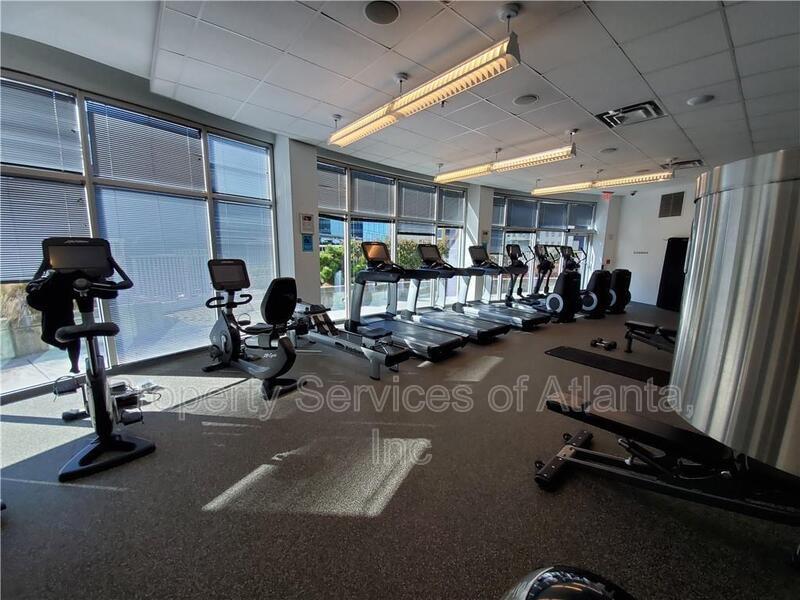 Plaza Midtown - 1BR/1BA Funished - 17th Floor  - Amenities property image